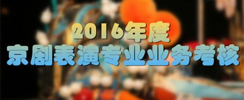 女被操网站国家京剧院2016年度京剧表演专业业务考...